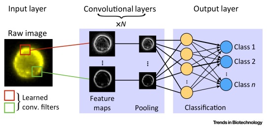 Convolutional neural network layers