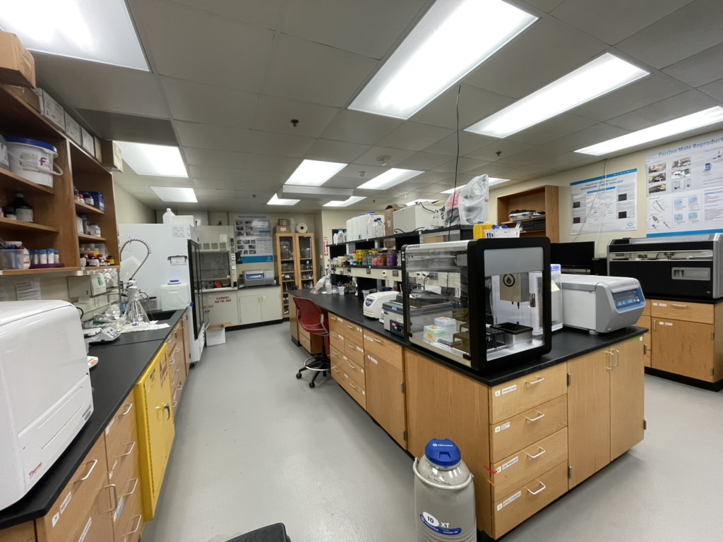Fluorescent microplate reader and Opentrons pipetting robot