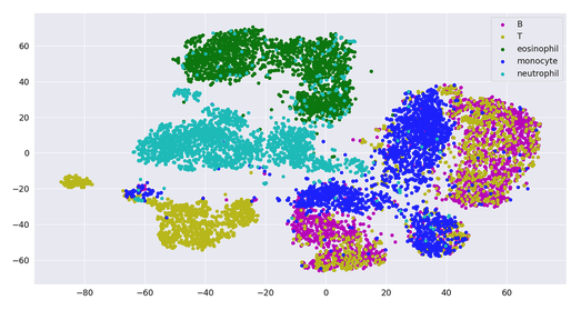 T-SNE visualization of label-free cell data